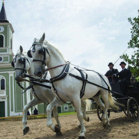 NH Kladruby nad Labem